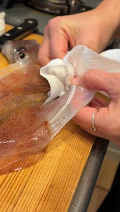 じいちゃんが釣ったヤリイカを捌いてみた！！の記事動画