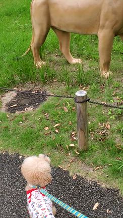 いきとしいけるもの　いづれか歌を詠まざりける。の記事動画