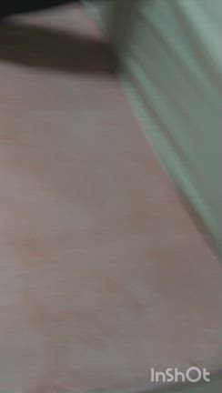 あっこのまぁるいお家〜ピノちゃん命日の記事動画