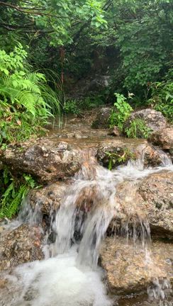 千本檜小屋の記事動画