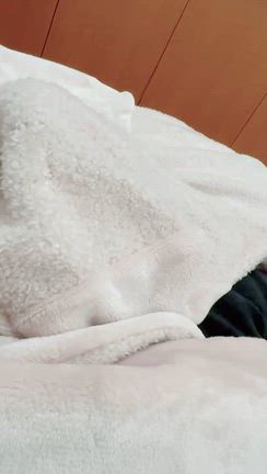 見つけたら怒ってるの記事動画