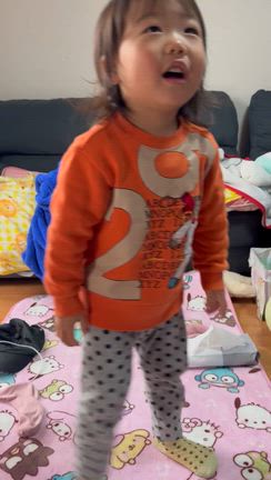 お弁当の記事動画