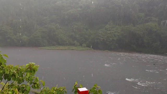 出るか、薄ら笑いの記事動画