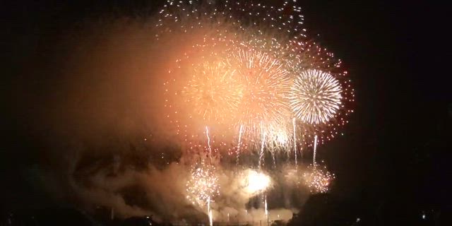 花火の記事動画