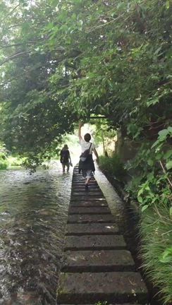 毎日癒し‼️の記事動画