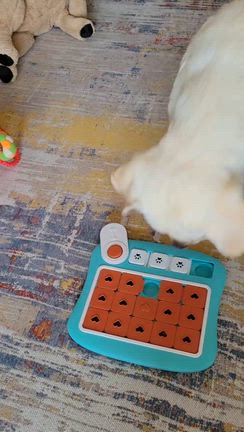 07年09月17日①　俺の相棒の記事動画