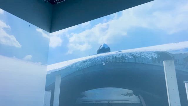 永遠の青春への記事動画