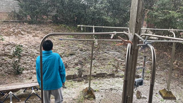 種子島も雪がの記事動画