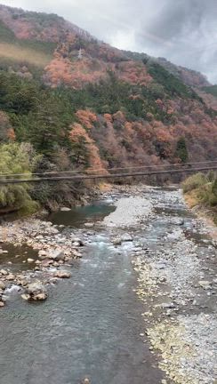 Xmasコンサートwith木住野佳子さんトリオ@高山の記事動画