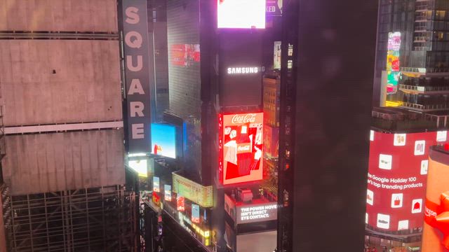 Celebration Tripの記事動画