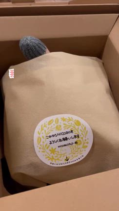 《 ニコボがやってきた♡ 》癒しのロボットをお迎えして育児の○○が楽になった話＾＾の記事動画