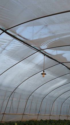 秋から冬への記事動画