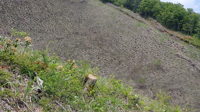 【2025年】お誕生日旅行 京丹後1泊2日②の記事動画