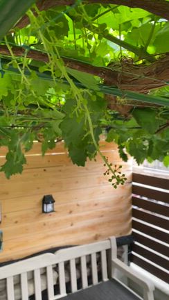 ぶどう棚を守ろう！防護ネット作成の記事動画