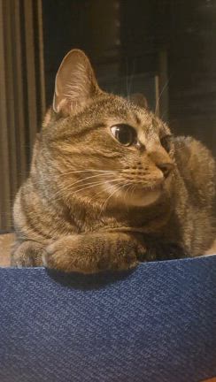 暑いねぇの記事動画