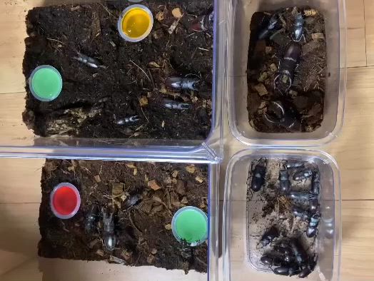 あっという間にの記事動画