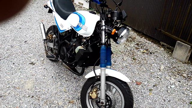 TDR80 カスタム ～RZ仕様～ | ﾁｭｰﾆﾝｸﾞﾌｧｸﾄﾘｰライダースエリア毎日