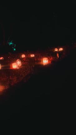 グランピング3️⃣チームラボの記事動画