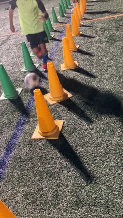 どんな願いをしましたか？の記事動画