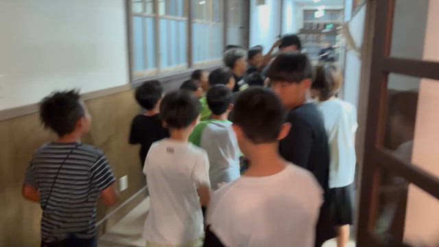 宝さがしーの記事動画