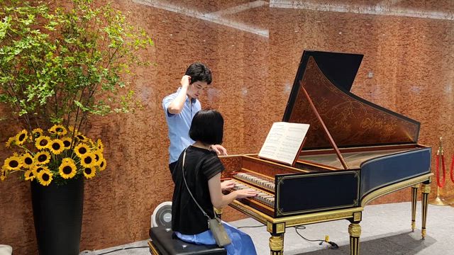 ストリートピアノならぬ、ストリートチェンバロ！？の記事動画