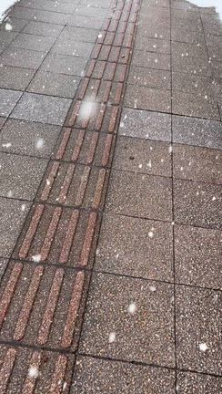 青森の経済をまわせ！の記事動画