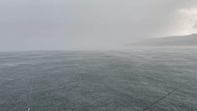 爆雨の海で…(^◇^;)の記事動画