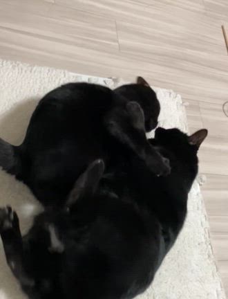 めぐちゃんさんのプロフィールページ