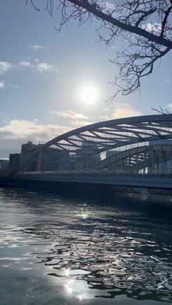 早起きは三文の徳の記事動画