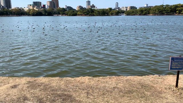 絵画研究会の記事動画