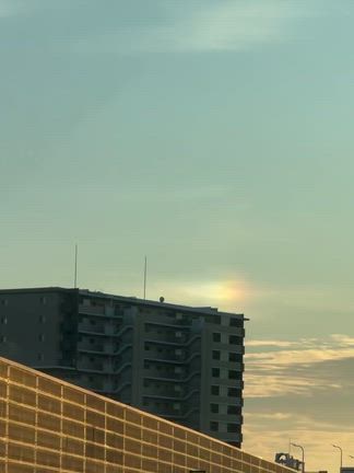 2025/11/26の記事動画