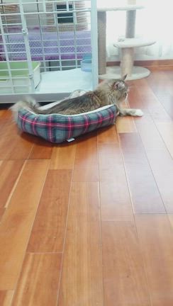 オーナーさまより♡の記事動画