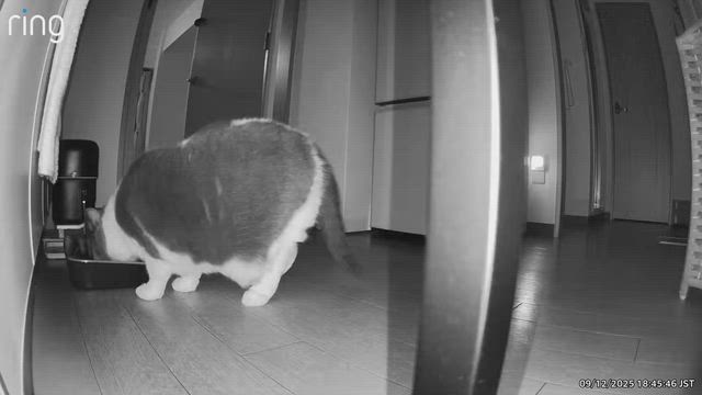 名古屋御園座公演初日の記事動画