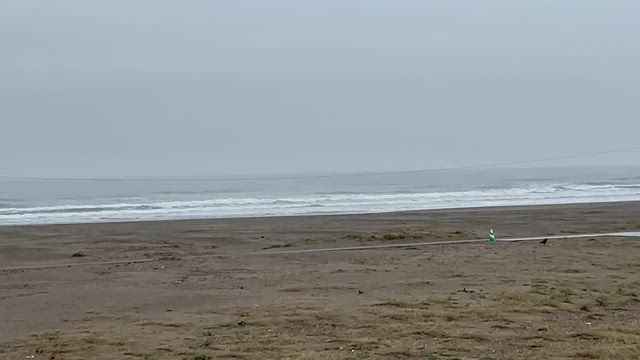 乗馬体験の記事動画