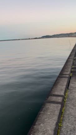 イモ系最強選手権！！！の記事動画