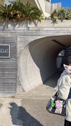 Under The PALMO巡りでしゅよ〜(^-^)の記事動画