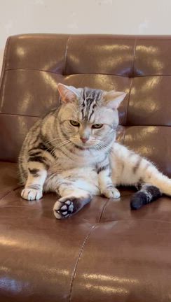 気温がぐんぐん上がり暖かいですね♪の記事動画