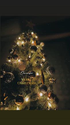 クリスマスの記事動画