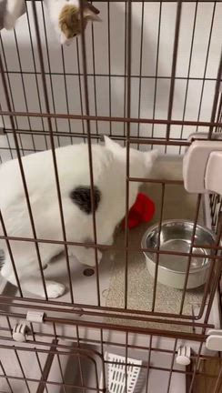 近況報告・幸せいっぱいの記事動画