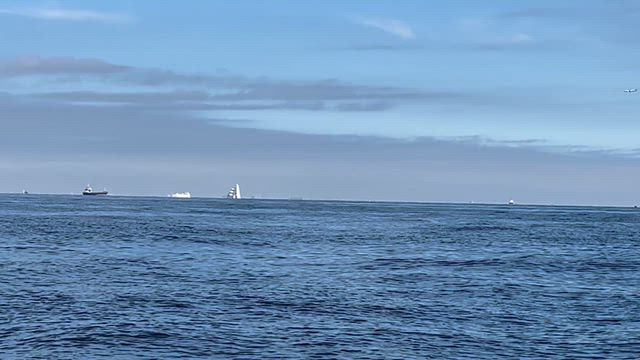 調べ上げた海域へ行くもサゴシひとつ…の記事動画