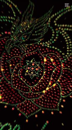 ネットアップしました❣️❣️の記事動画