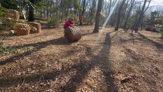 楽しい×おもしろい×あったまる＝3拍子そろった健康法！落ち葉はきに行ってきました！埼玉県三芳町の記事動画