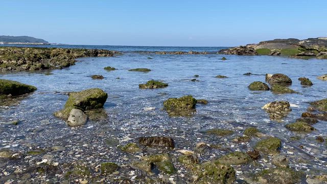 キャンプ女子シーズンイン！お花見キャンプ千葉県館山市〈人魚の湯〉への記事動画