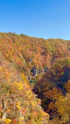 鳴子峡と潟沼の紅葉の記事動画