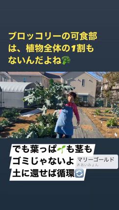 短いメッセージの記事動画