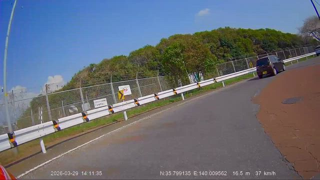 コレが噂の？の記事動画