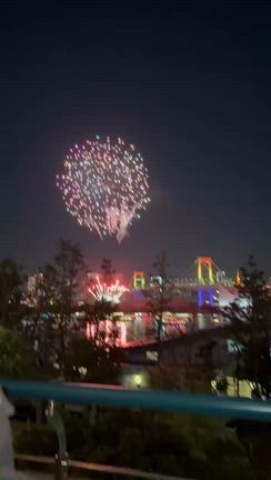 冬花火➰の記事動画