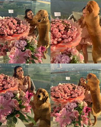 2026/02/28の記事動画