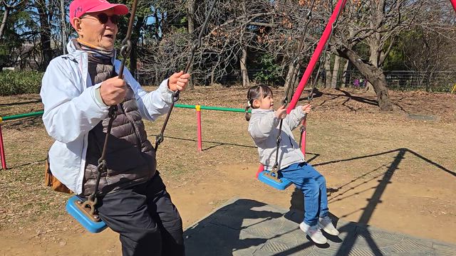 久しぶりのブランコの記事動画