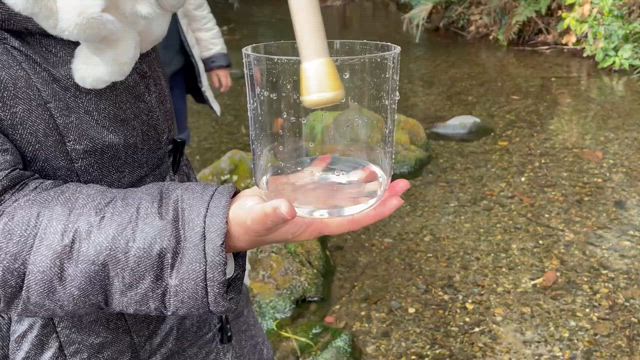 最初から最後まで、神がかっていた立春リトリート！の記事動画